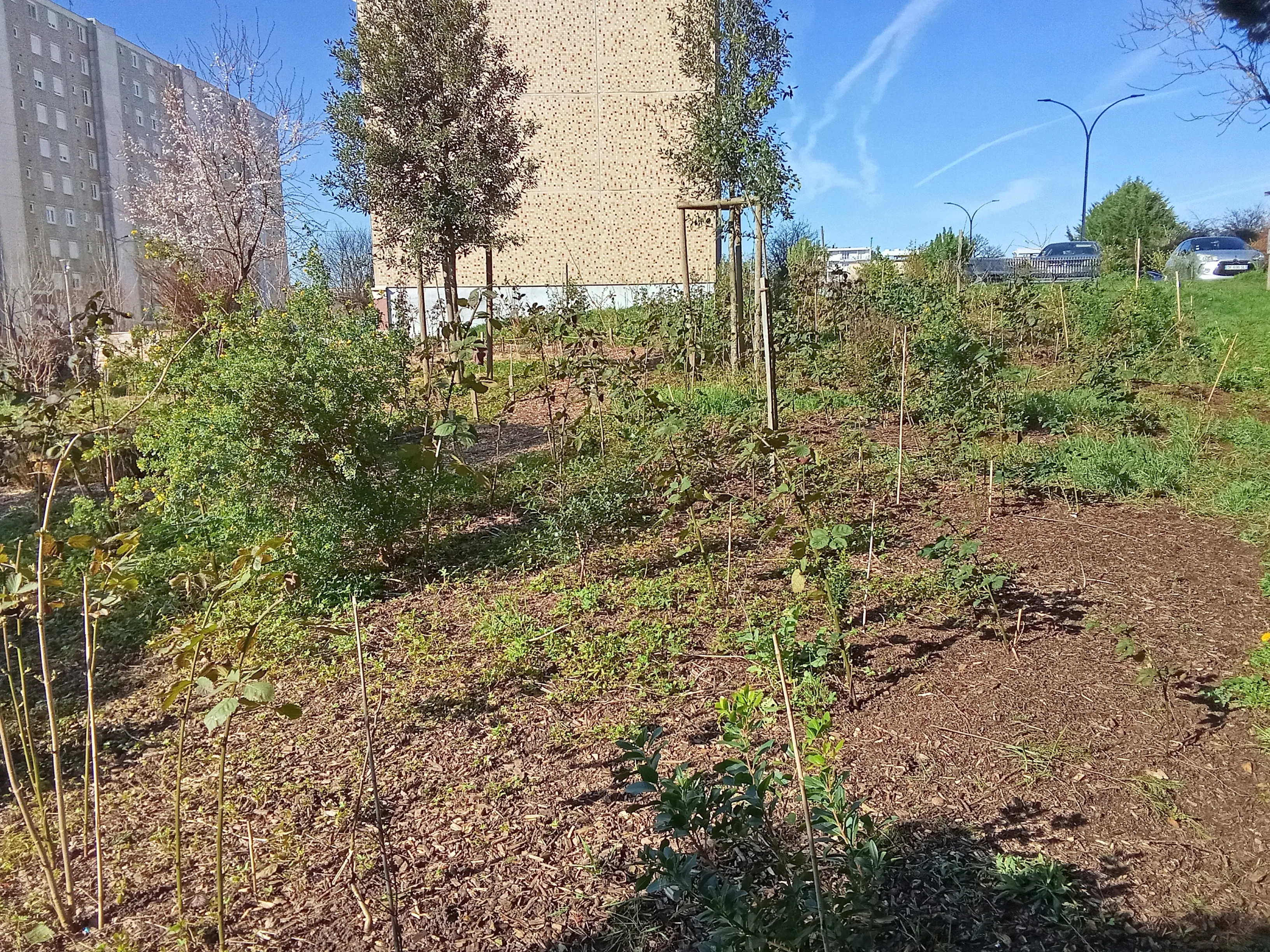 Quartier du Banlay, Nevers — vue du projet