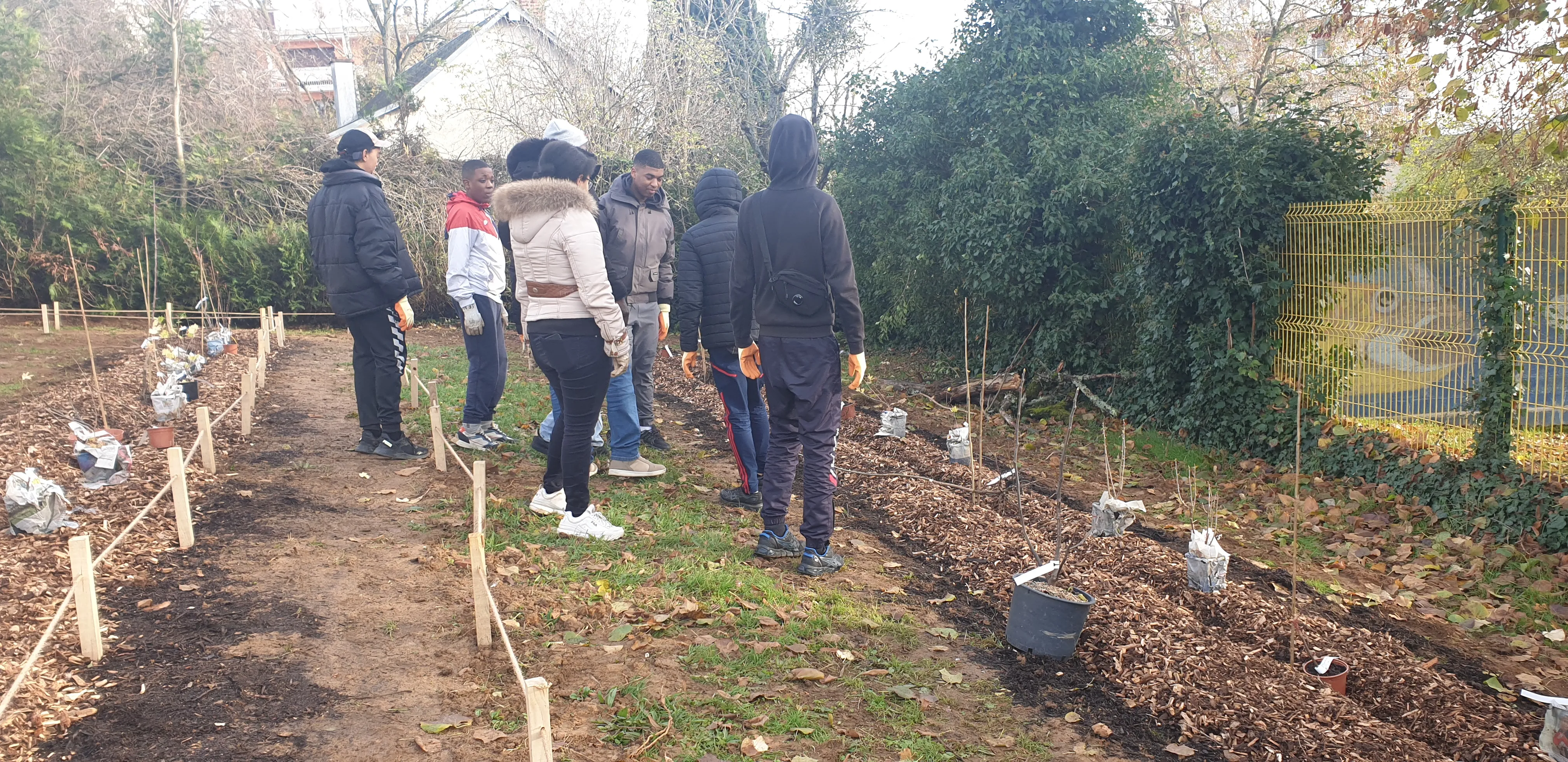 Plantation d'arbres avec les enfants du centre social, quartier du Banlay, Nevers