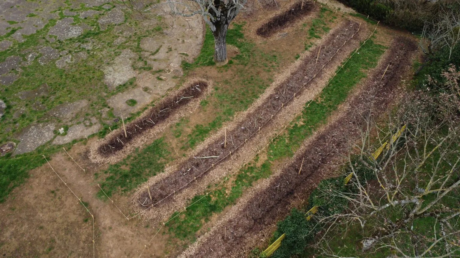 Plantation de haies fruitières au Banlay, Nevers