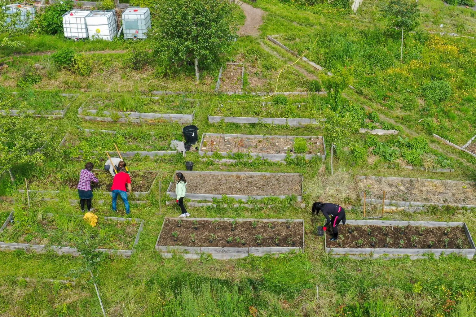 Entretien du jardin-forêt en chantier participatif, Le Creusot