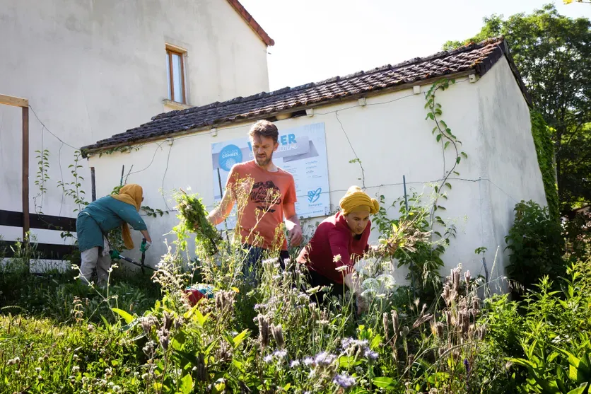 Jean-Philippe Cieslak lors d'une formation à l'agroforesterie syntropique à l'Îlot des Combes