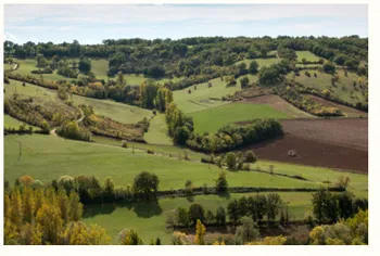 Terre de Milpa, Métropole de Lyon