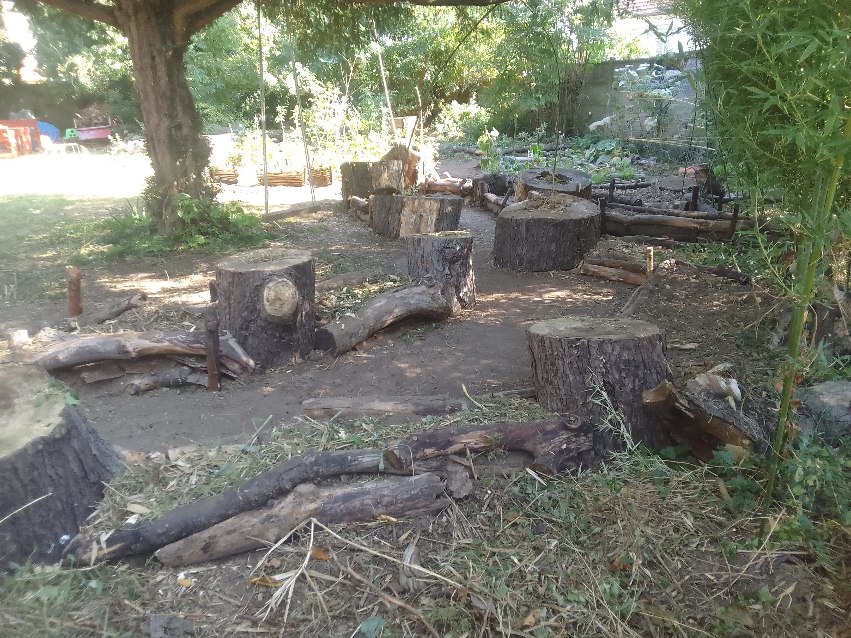 Formation agroécologie urbaine, CAPA / PLIE
