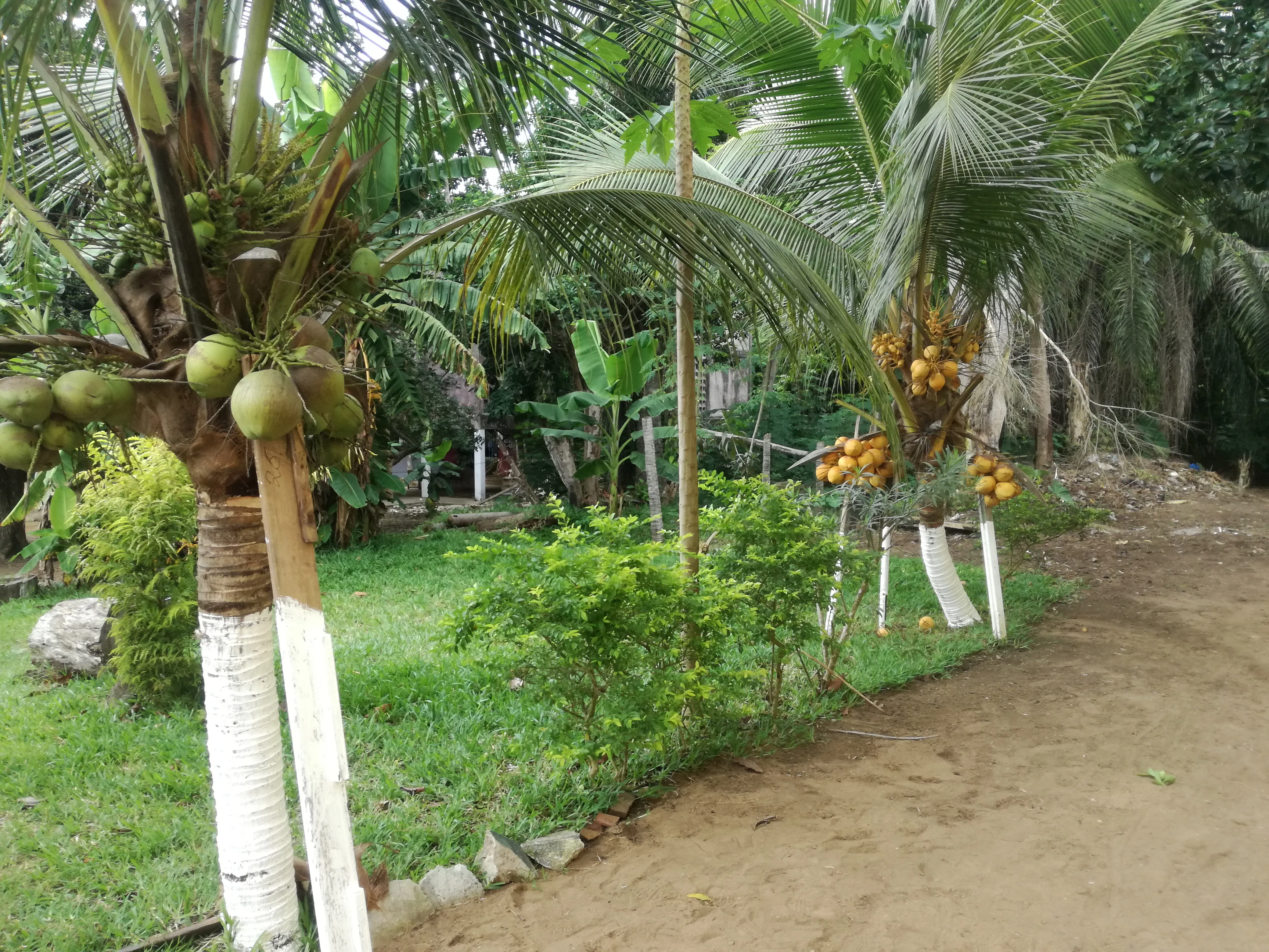 Séminaire d'Abidjan — vue du projet