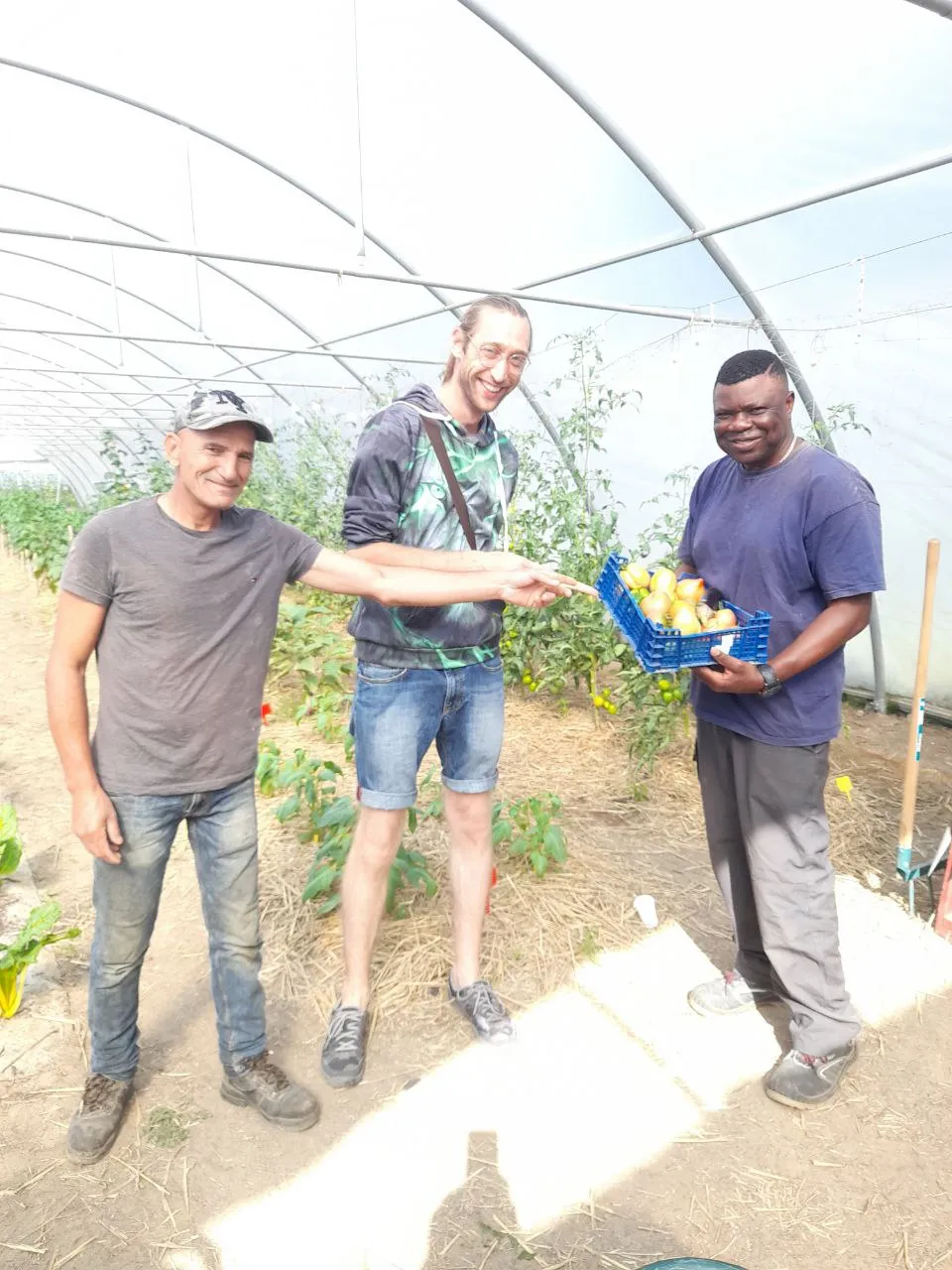 Formation agroécologie urbaine, CAPA / PLIE — vue du projet