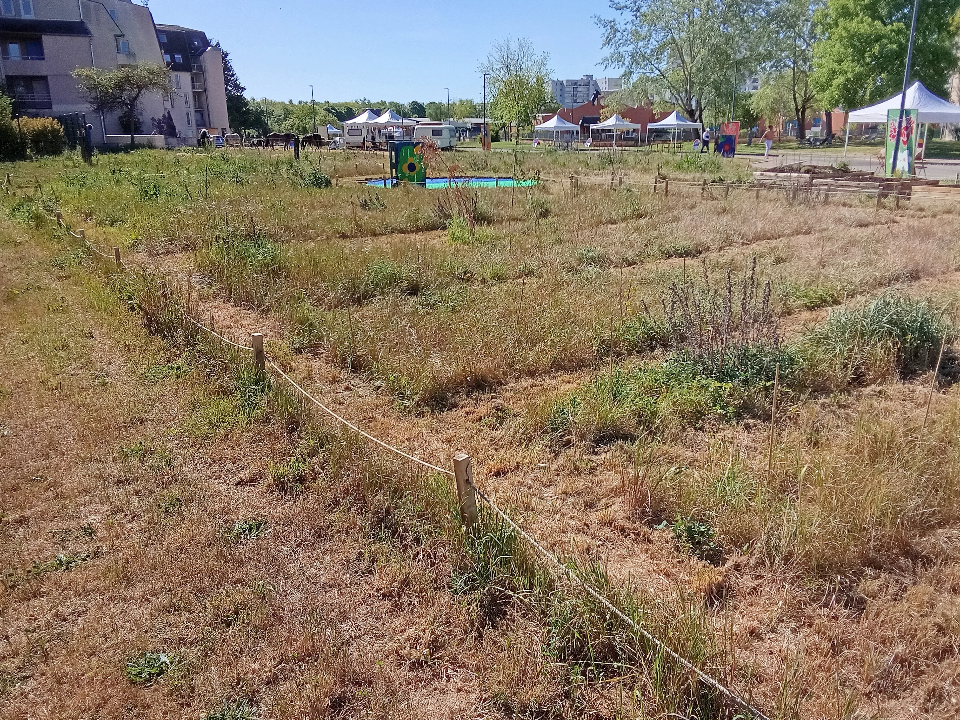 Quartier des Courlis, Nevers — vue du projet
