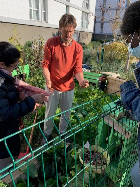 Formation et plantation, Villeneuve-la-Garenne — vue du projet