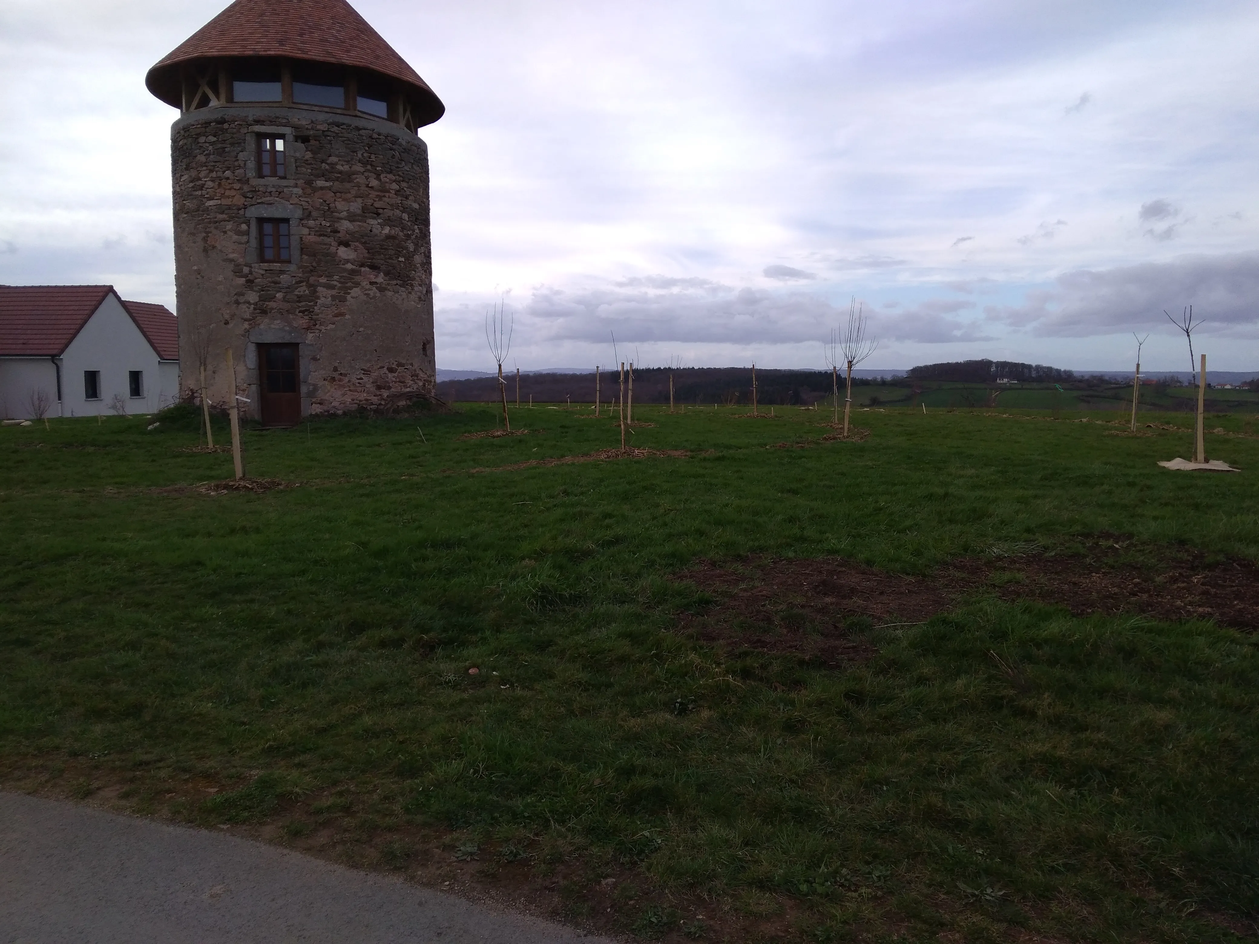 Verger de sauvegarde, Saint-Martin-d'Auxy — vue du projet