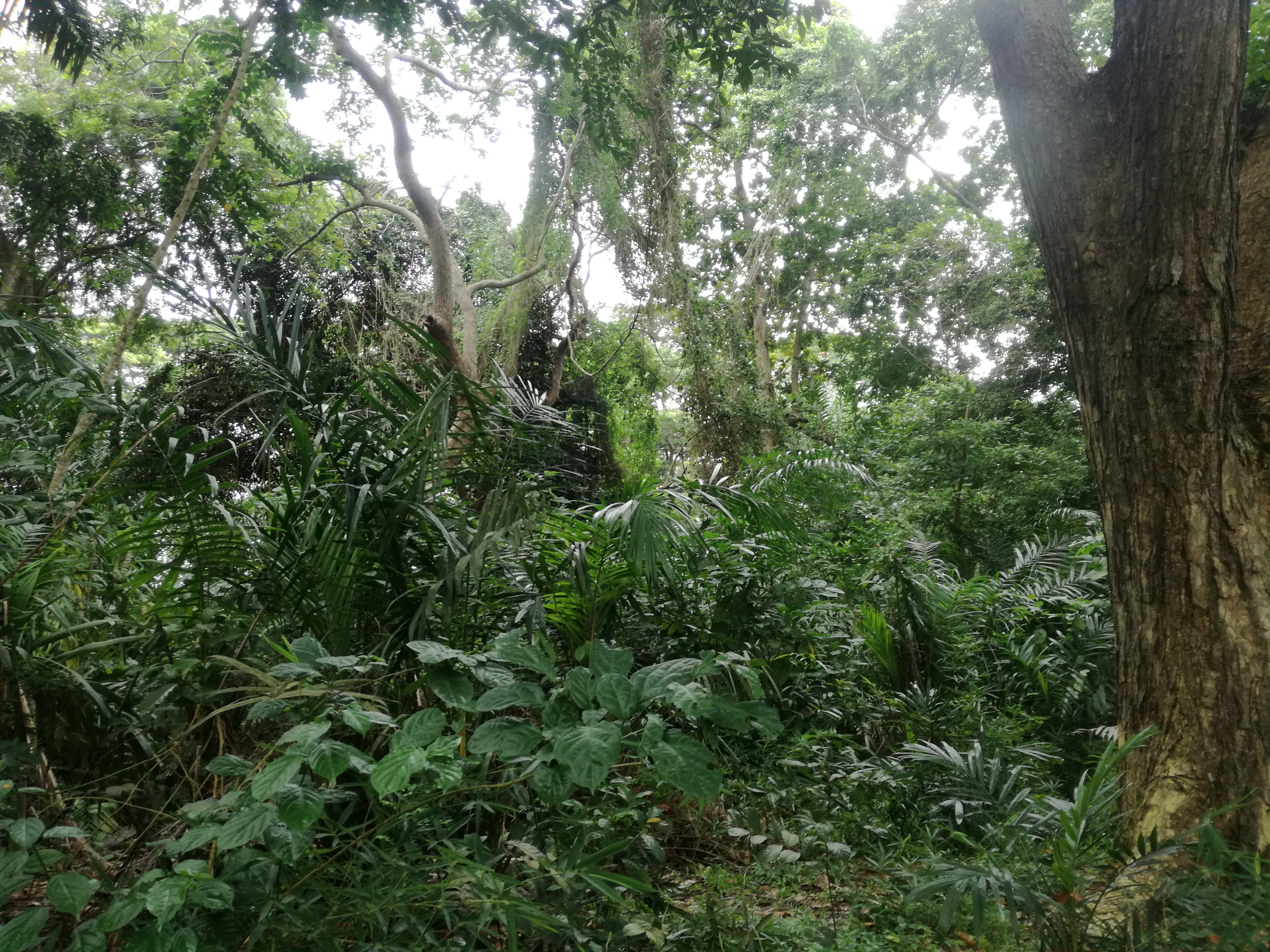 Séminaire d'Abidjan — vue du projet