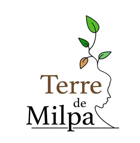 Terre de Milpa, Métropole de Lyon — vue du projet