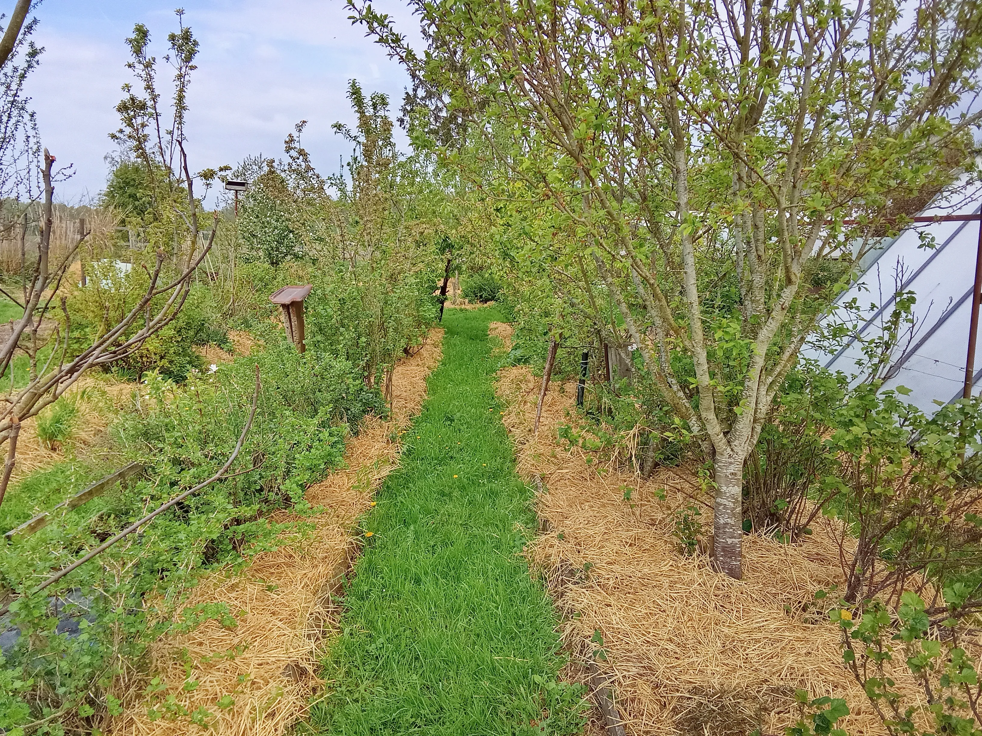 TerraMadré, Belgique — vue du projet