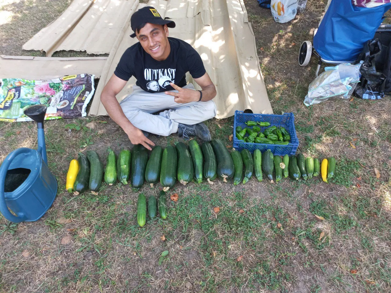 Formation agroécologie urbaine, CAPA / PLIE — vue du projet