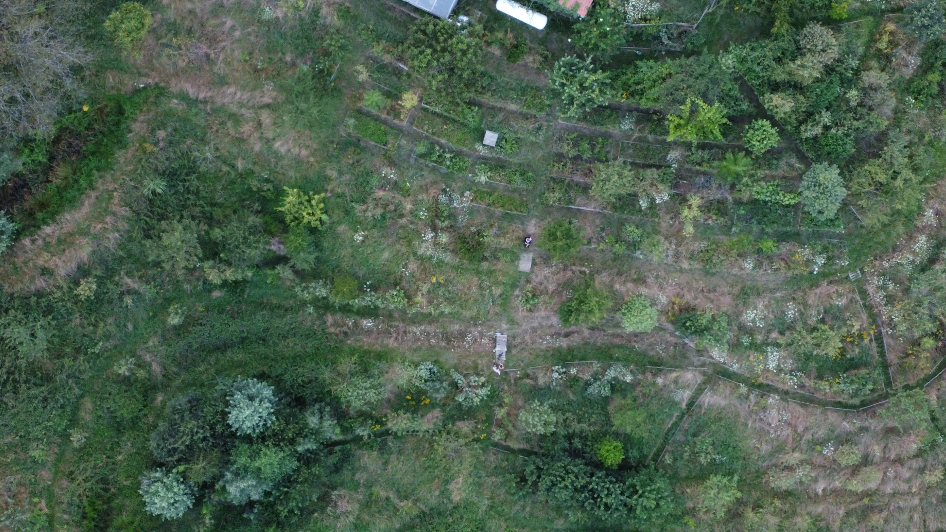 L'Îlot des Combes, Le Creusot — vue du projet