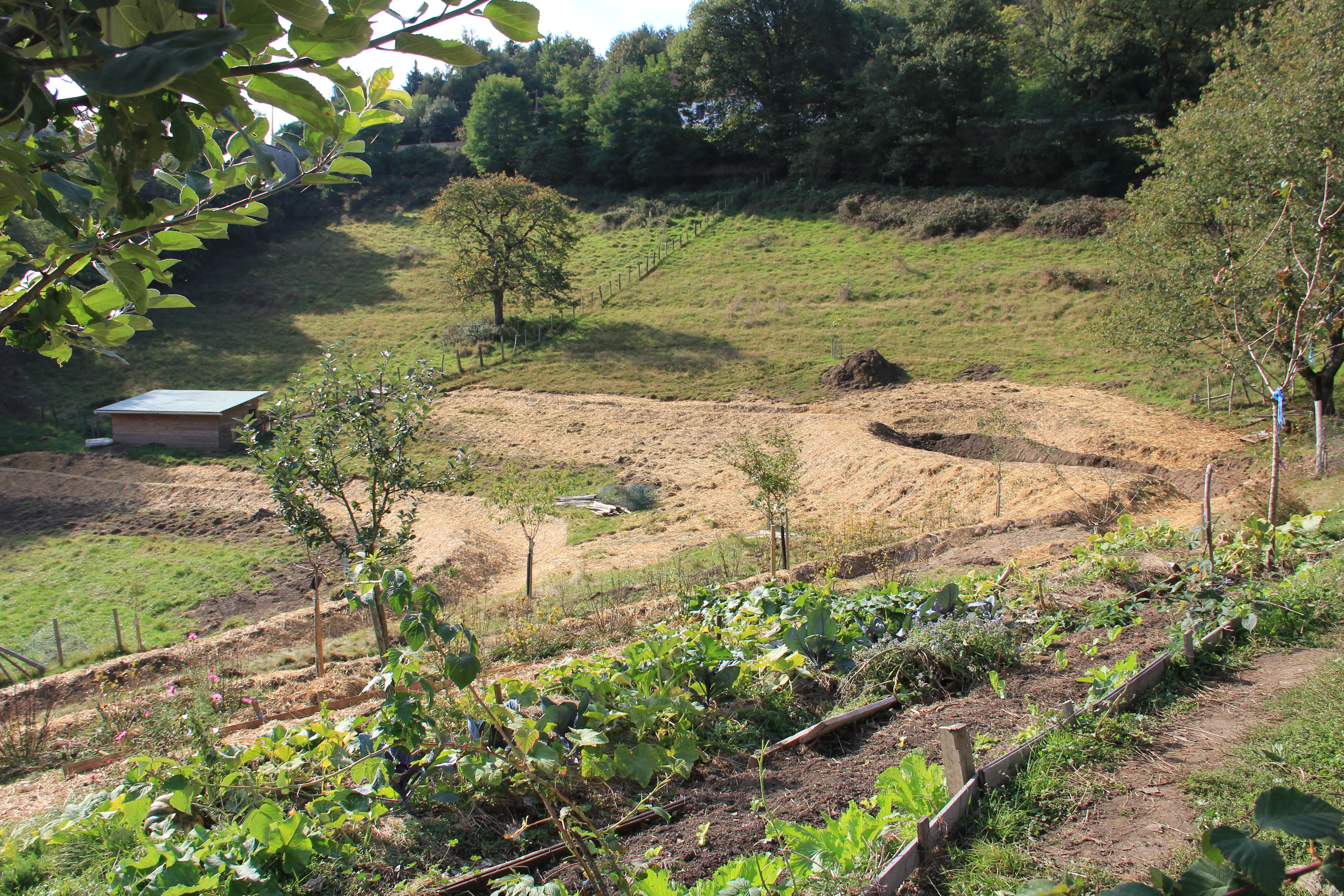 Système hydrologique régénératif, Le Creusot — vue du projet