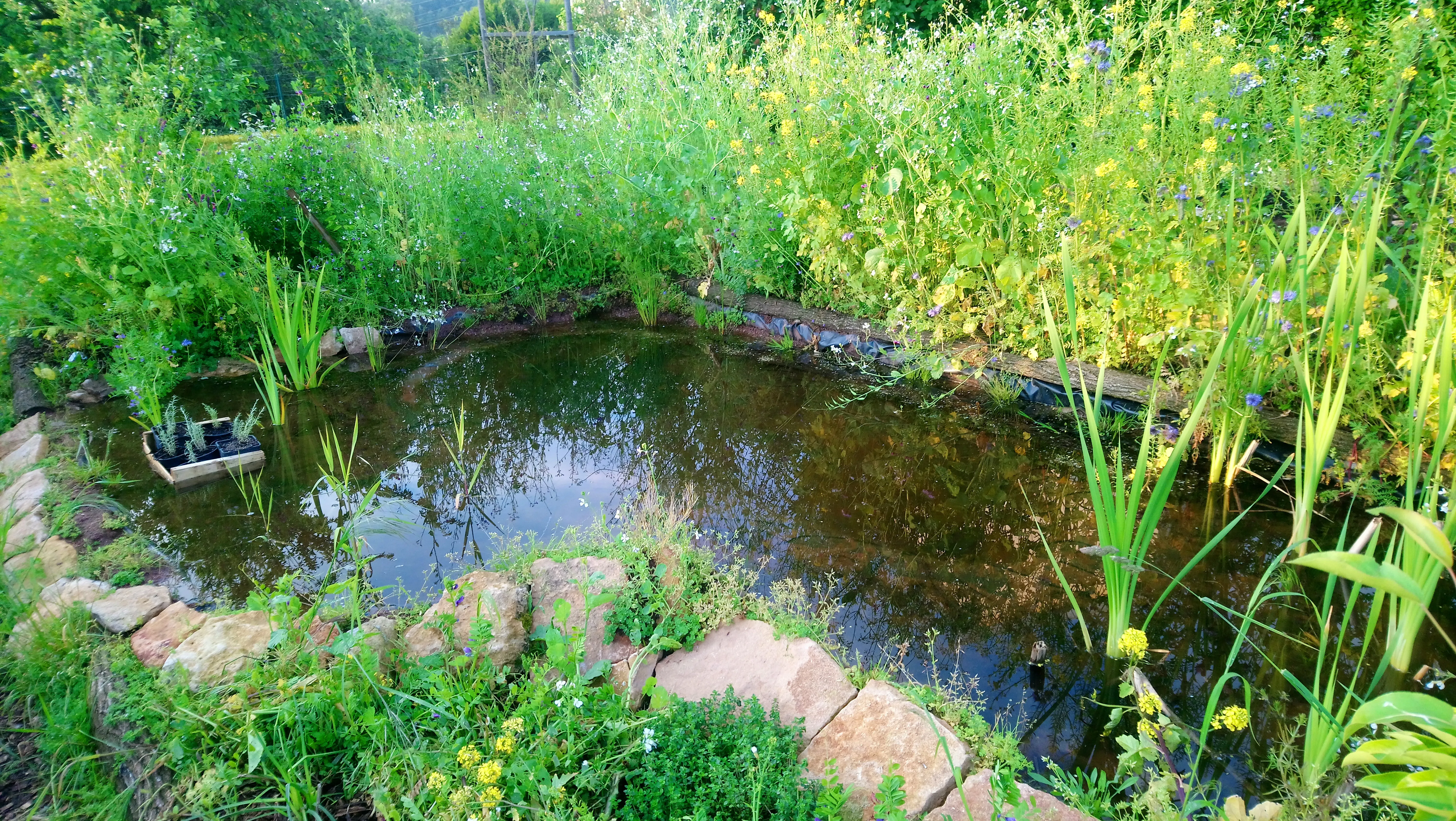 Jardin-forêt urbain, Le Creusot — vue du projet